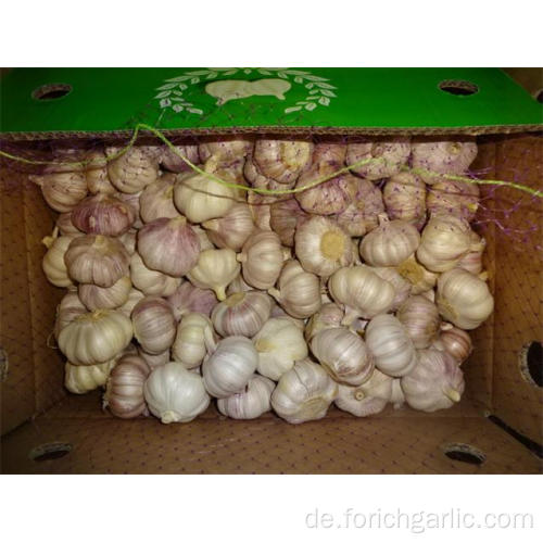 Neue Ernte Knoblauch heißer Verkauf